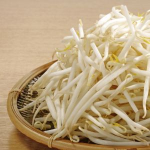 Can I Eat Bean Sprouts While Pregnant