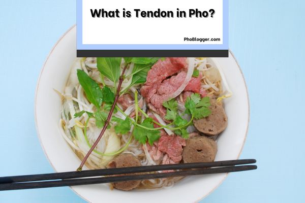 What is Tendon in Pho